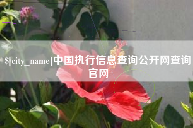 钦州中国执行信息查询公开网查询官网