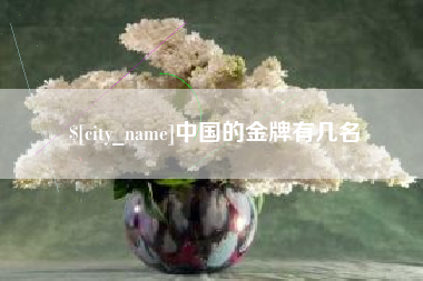 钦州中国的金牌有几名