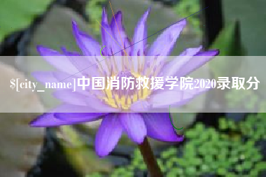 钦州中国消防救援学院2020录取分