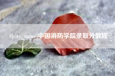钦州中国消防学院录取分数线