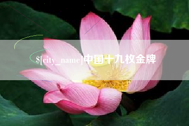 钦州中国十九枚金牌