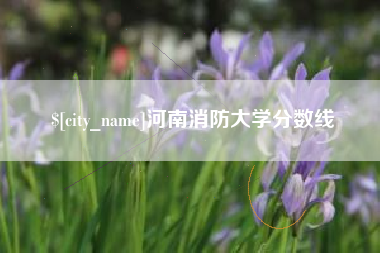 钦州河南消防大学分数线