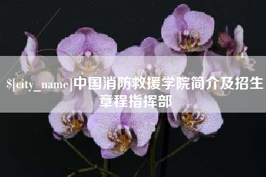 钦州中国消防救援学院简介及招生章程指挥部