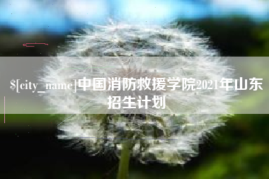 钦州中国消防救援学院2021年山东招生计划