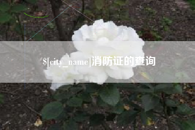 钦州消防证的查询