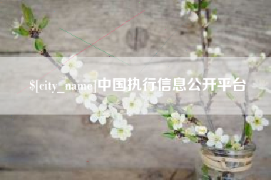 钦州中国执行信息公开平台