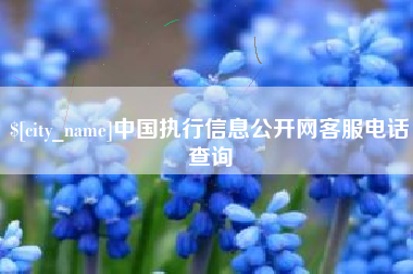 钦州中国执行信息公开网客服电话查询