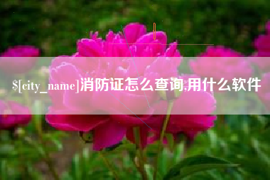 钦州消防证怎么查询,用什么软件