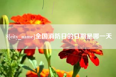 钦州全国消防日的日期是哪一天