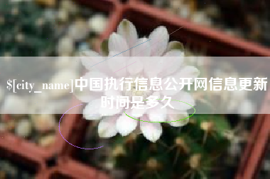 钦州中国执行信息公开网信息更新时间是多久