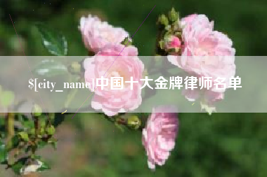 钦州中国十大金牌律师名单