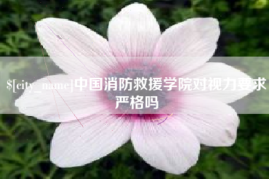 钦州中国消防救援学院对视力要求严格吗