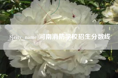 钦州河南消防学校招生分数线