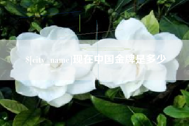 钦州现在中国金牌是多少