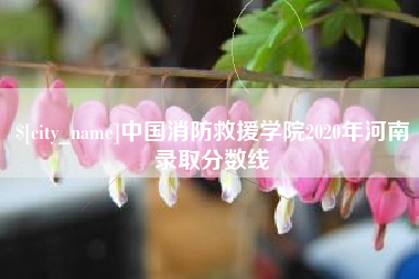 钦州中国消防救援学院2020年河南录取分数线