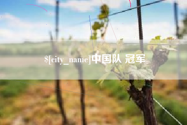 钦州中国队 冠军
