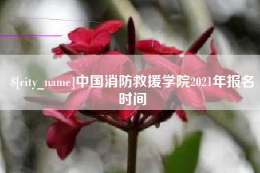 钦州中国消防救援学院2021年报名时间