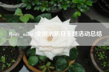钦州全国消防日主题活动总结