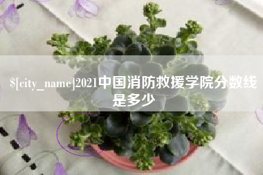 钦州2021中国消防救援学院分数线是多少
