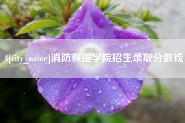 钦州消防救援学院招生录取分数线