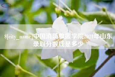 钦州中国消防救援学院2021年山东录取分数线是多少
