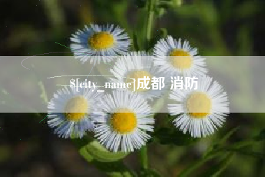 钦州成都 消防