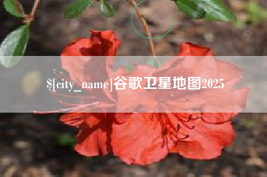 钦州谷歌卫星地图2025