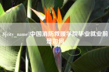 钦州中国消防救援学院毕业就业前景如何