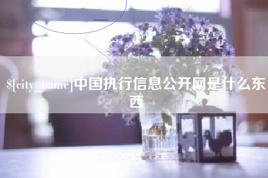 钦州中国执行信息公开网是什么东西