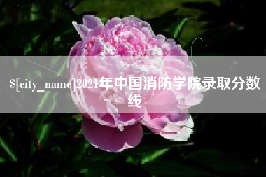 钦州2021年中国消防学院录取分数线