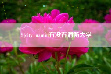 钦州有没有消防大学