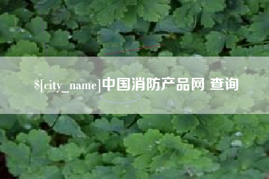 钦州中国消防产品网 查询