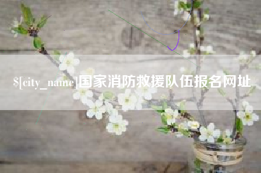 钦州国家消防救援队伍报名网址