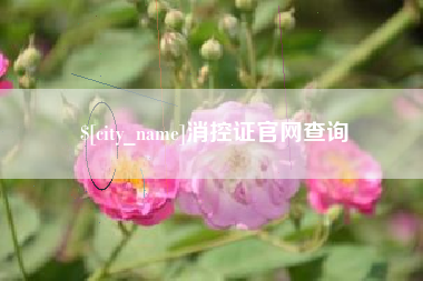 钦州消控证官网查询