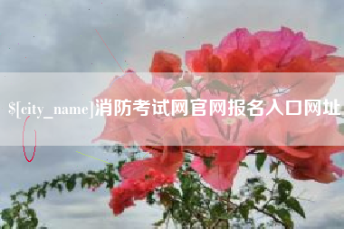 钦州消防考试网官网报名入口网址