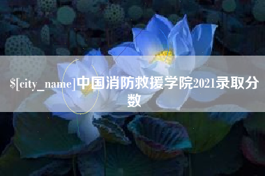 钦州中国消防救援学院2021录取分数