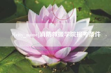 钦州消防救援学院报考条件