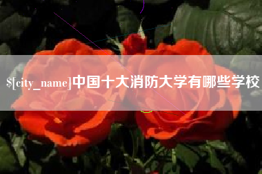 钦州中国十大消防大学有哪些学校