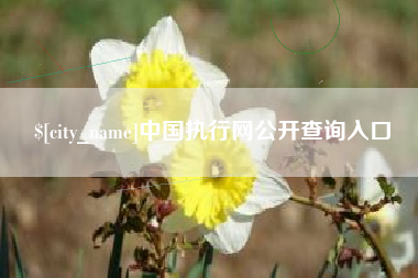 钦州中国执行网公开查询入口