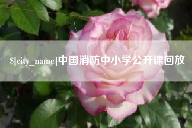 钦州中国消防中小学公开课回放
