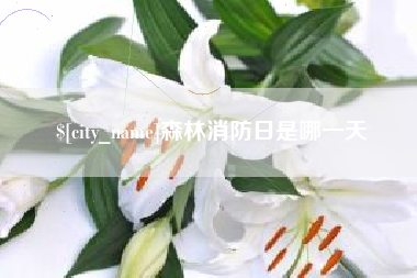 钦州森林消防日是哪一天