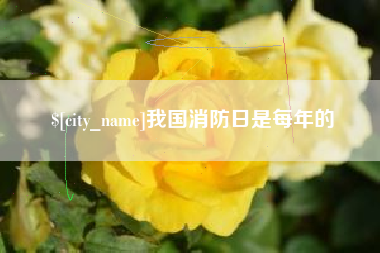 钦州我国消防日是每年的