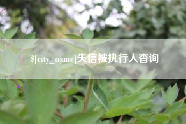 钦州失信被执行人杳询