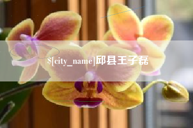 钦州邱县王子磊