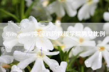 钦州中国消防救援学院男女比例