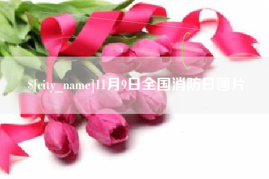 钦州11月9日全国消防日图片