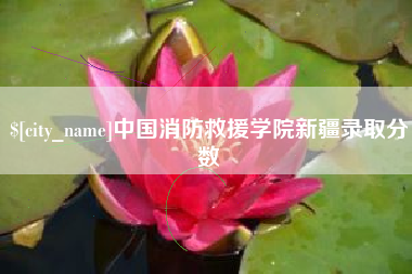 钦州中国消防救援学院新疆录取分数