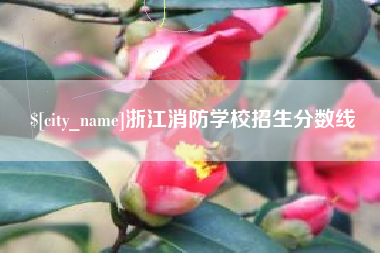 钦州浙江消防学校招生分数线