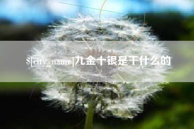 钦州九金十银是干什么的