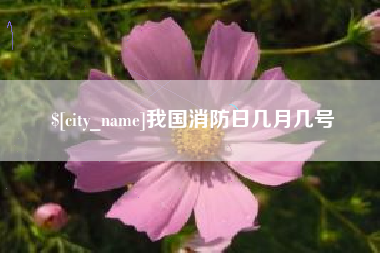 钦州我国消防日几月几号